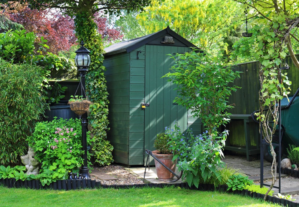 shed in the garden