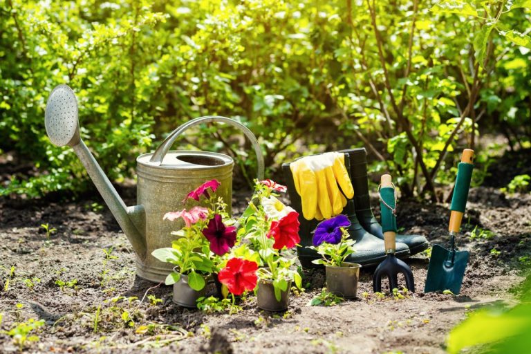 gardening equipment