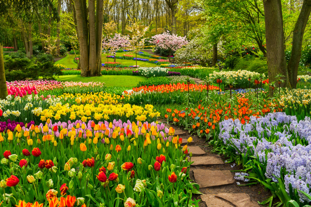 garden with lots of colorful flower and trees in it