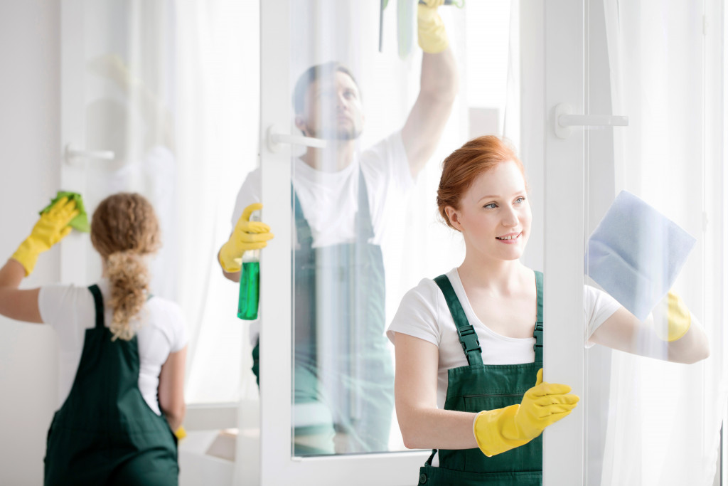 Professional cleaners working at home
